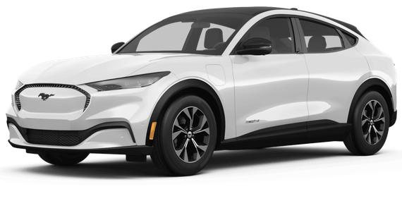 FORD MUSTANG MACH-E 2024 3FMTK4SX6RMA16959 image FORD MUSTANG MACH-E 2024 3FMTK4SX6RMA16959 image